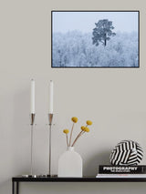 First snow Poster och Canvastavla