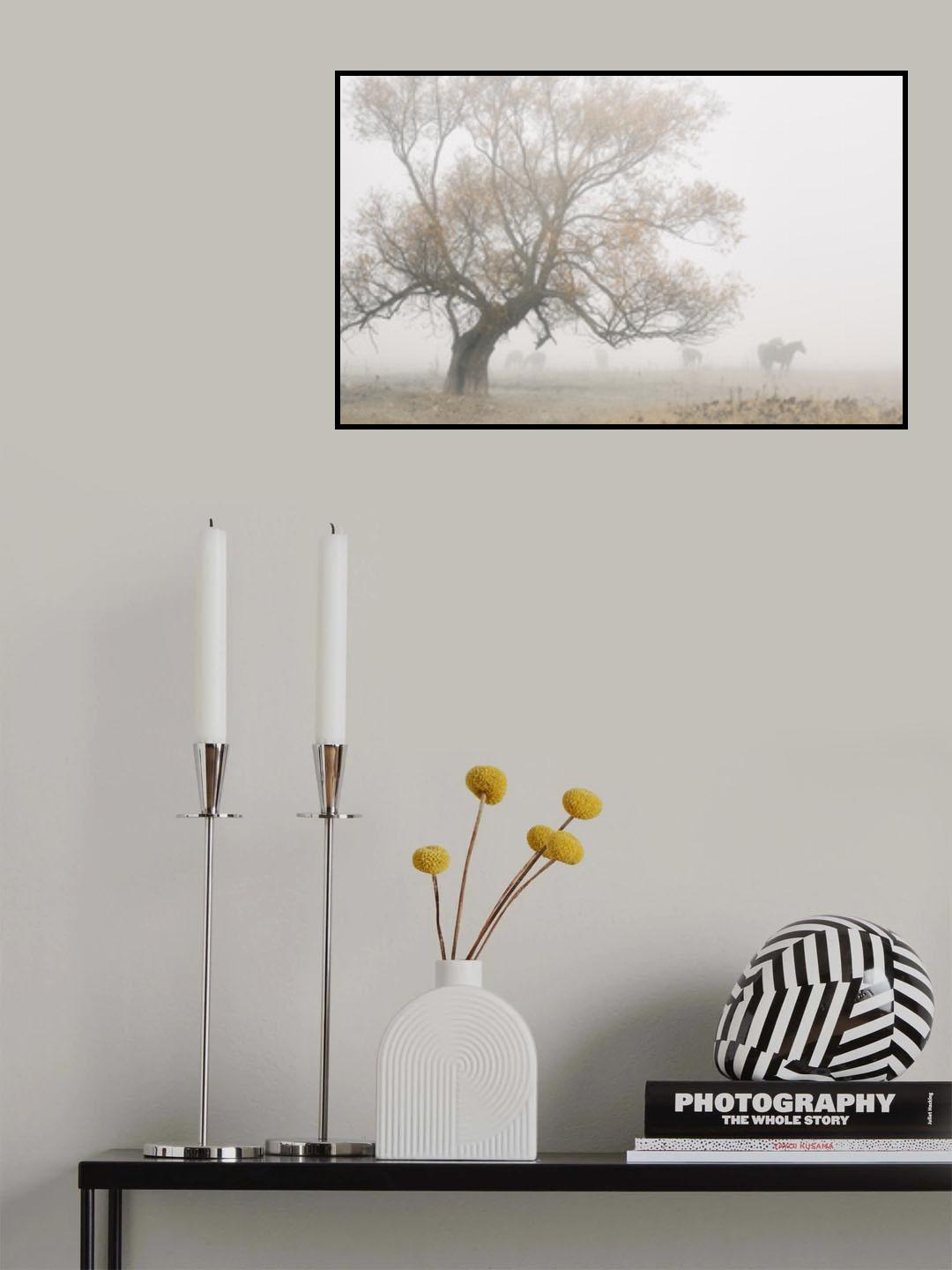 Lost in the fog Poster och Canvastavla