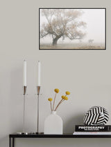 Lost in the fog Poster och Canvastavla