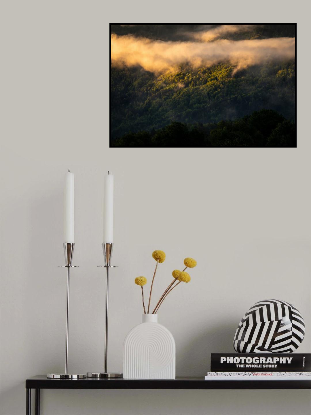 Fog after the storm Poster och Canvastavla