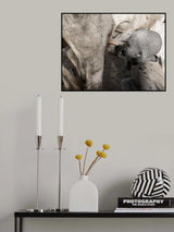 Shared feeding Poster och Canvastavla