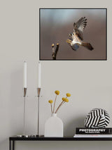 Landing Poster och Canvastavla