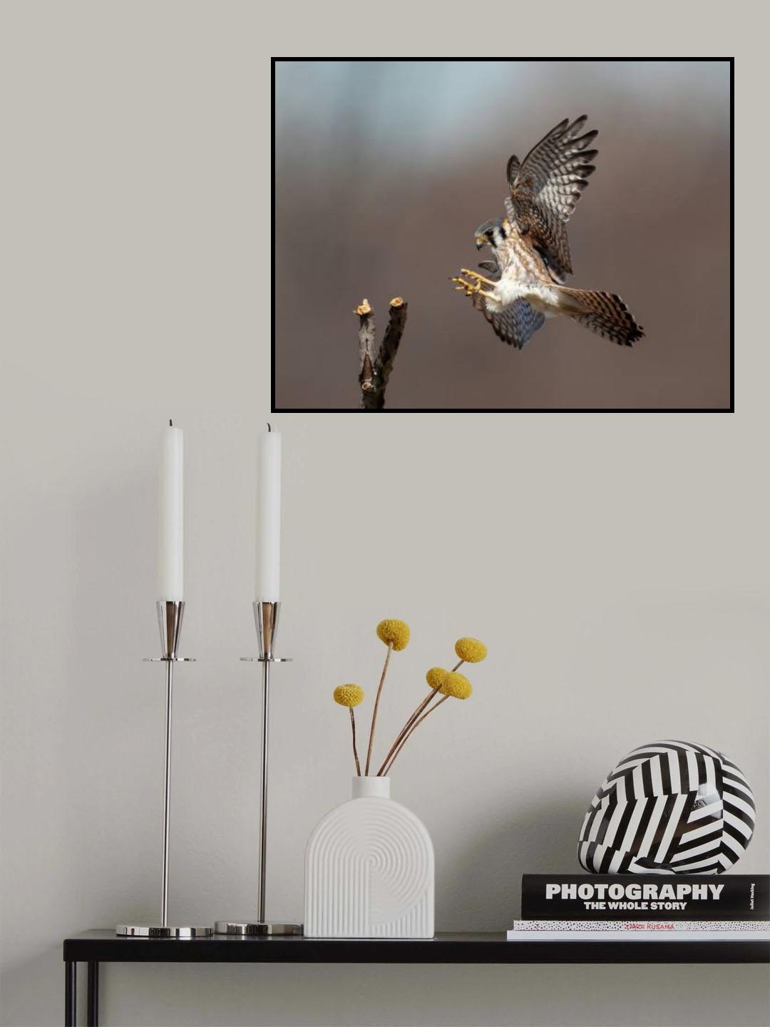 Landing Poster och Canvastavla