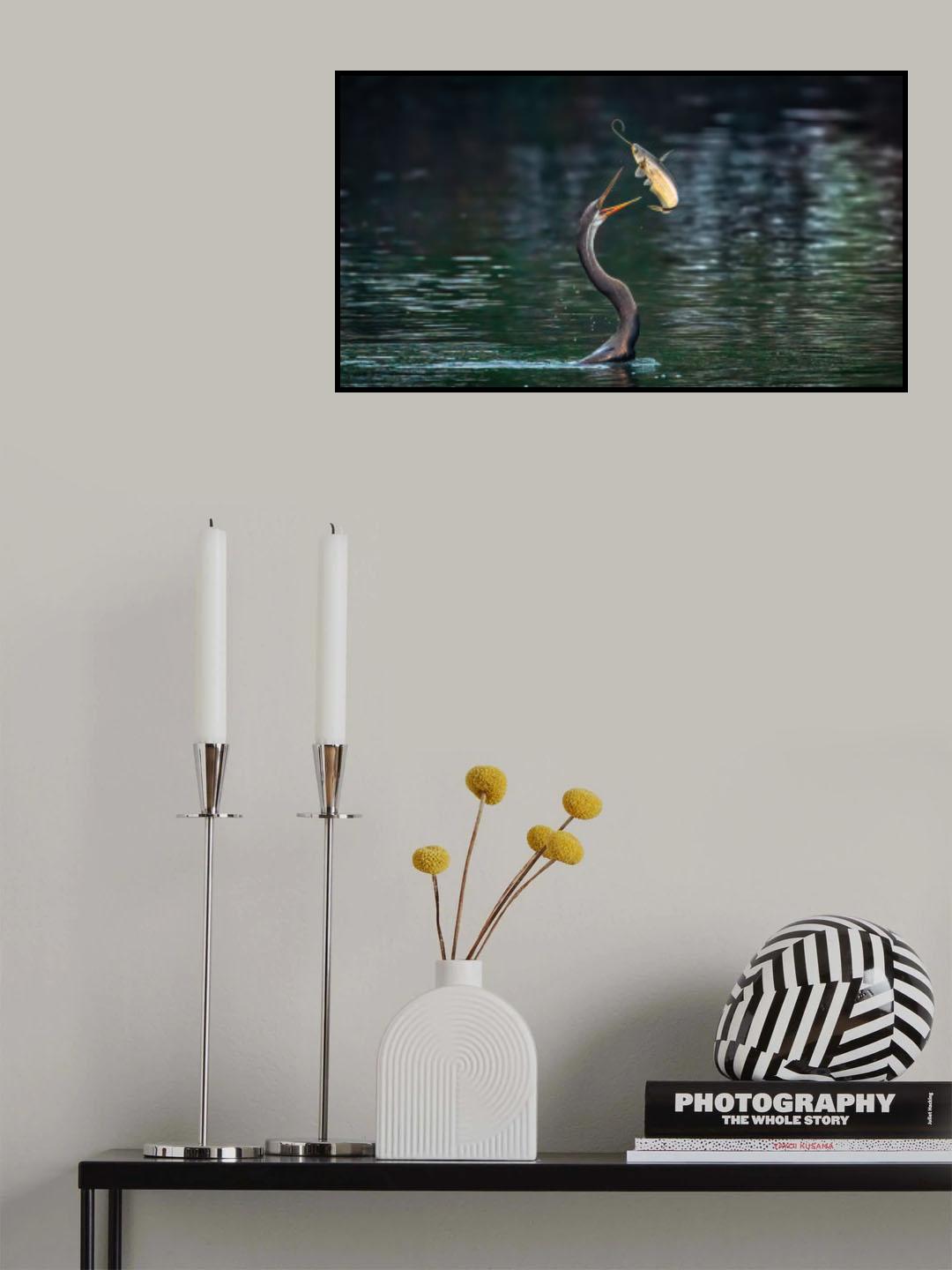Flying catfish Poster och Canvastavla