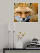 Foxy Lady Poster och Canvastavla