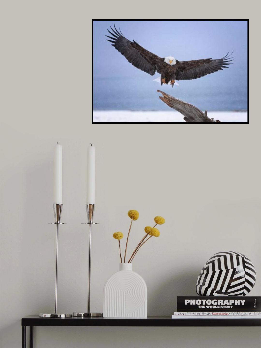 Landing Poster och Canvastavla