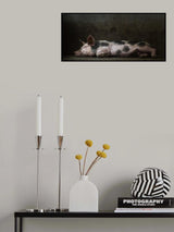 A pigs life..... Poster och Canvastavla