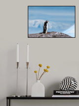 A Singer Poster och Canvastavla