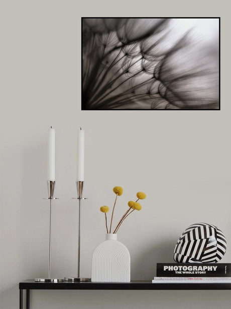 Poster och Canvastavla