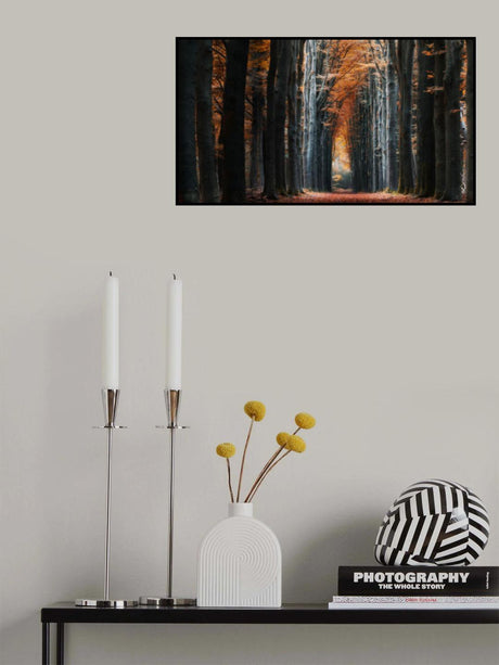 Autumn avenue Poster och Canvastavla