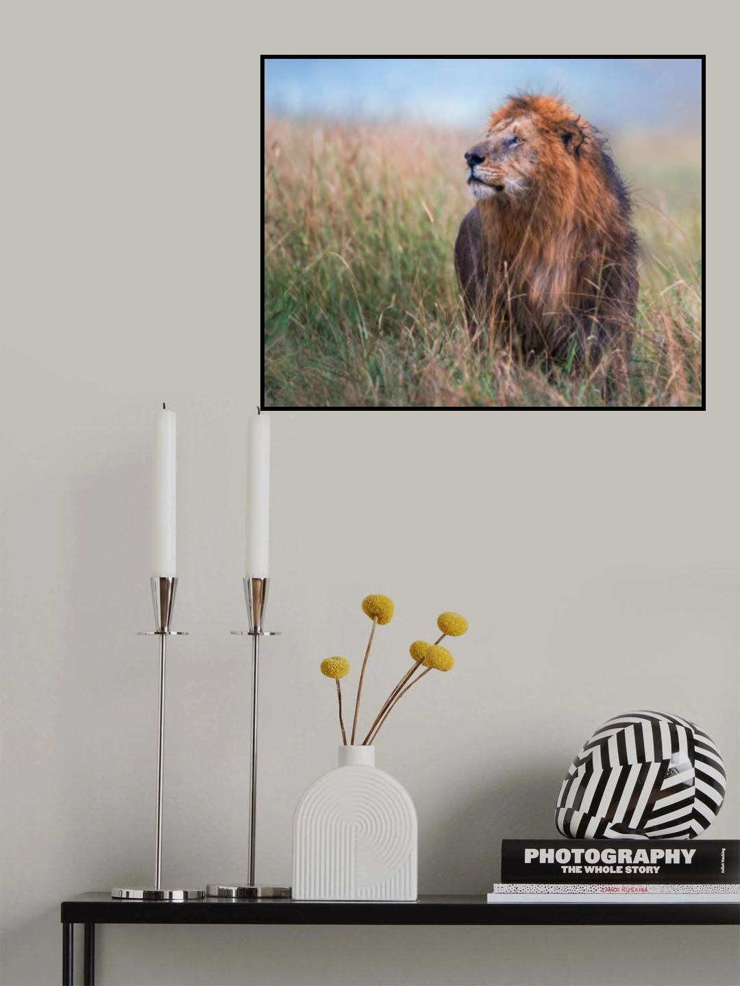 Giant King Poster och Canvastavla