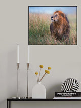 Giant King Poster och Canvastavla