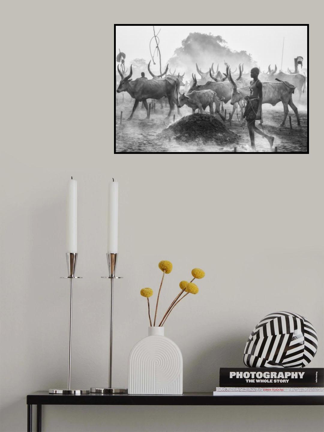 The daily regime Poster och Canvastavla