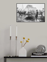 The daily regime Poster och Canvastavla