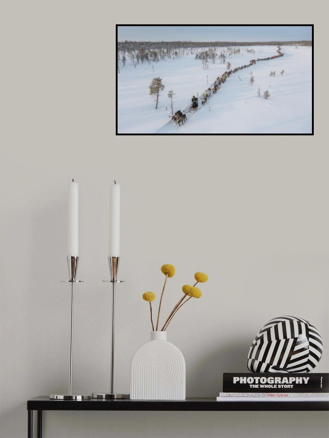 Nenets caravan on the move I Poster och Canvastavla