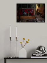 Scary Alley Poster och Canvastavla