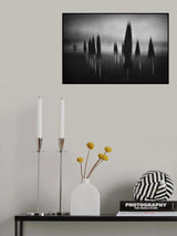 Poster och Canvastavla