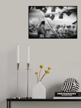 Poster och Canvastavla