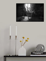 Asylum Poster och Canvastavla