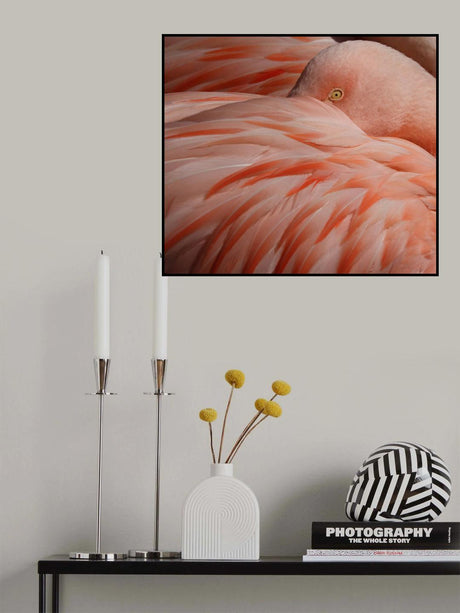 Portrait of a Pink Flamingo Poster och Canvastavla
