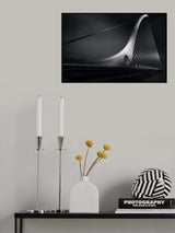 Harp Poster och Canvastavla