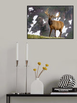 Am I handsome  or what....?!? Poster och Canvastavla