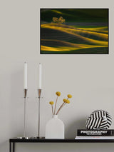 Sunset Tree Poster och Canvastavla