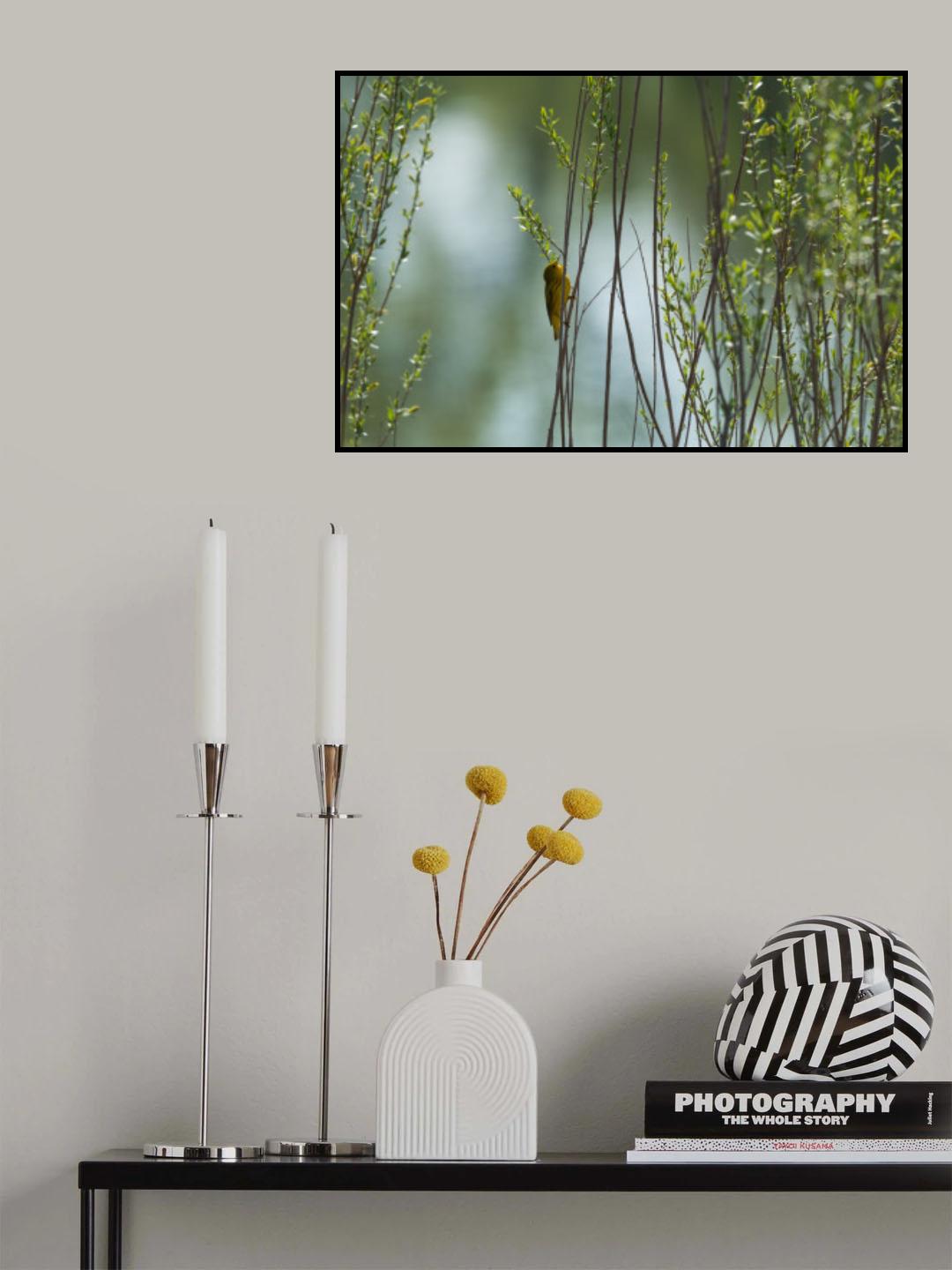 Singer by the lake Poster och Canvastavla