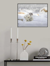 Storm day at the beach Poster och Canvastavla