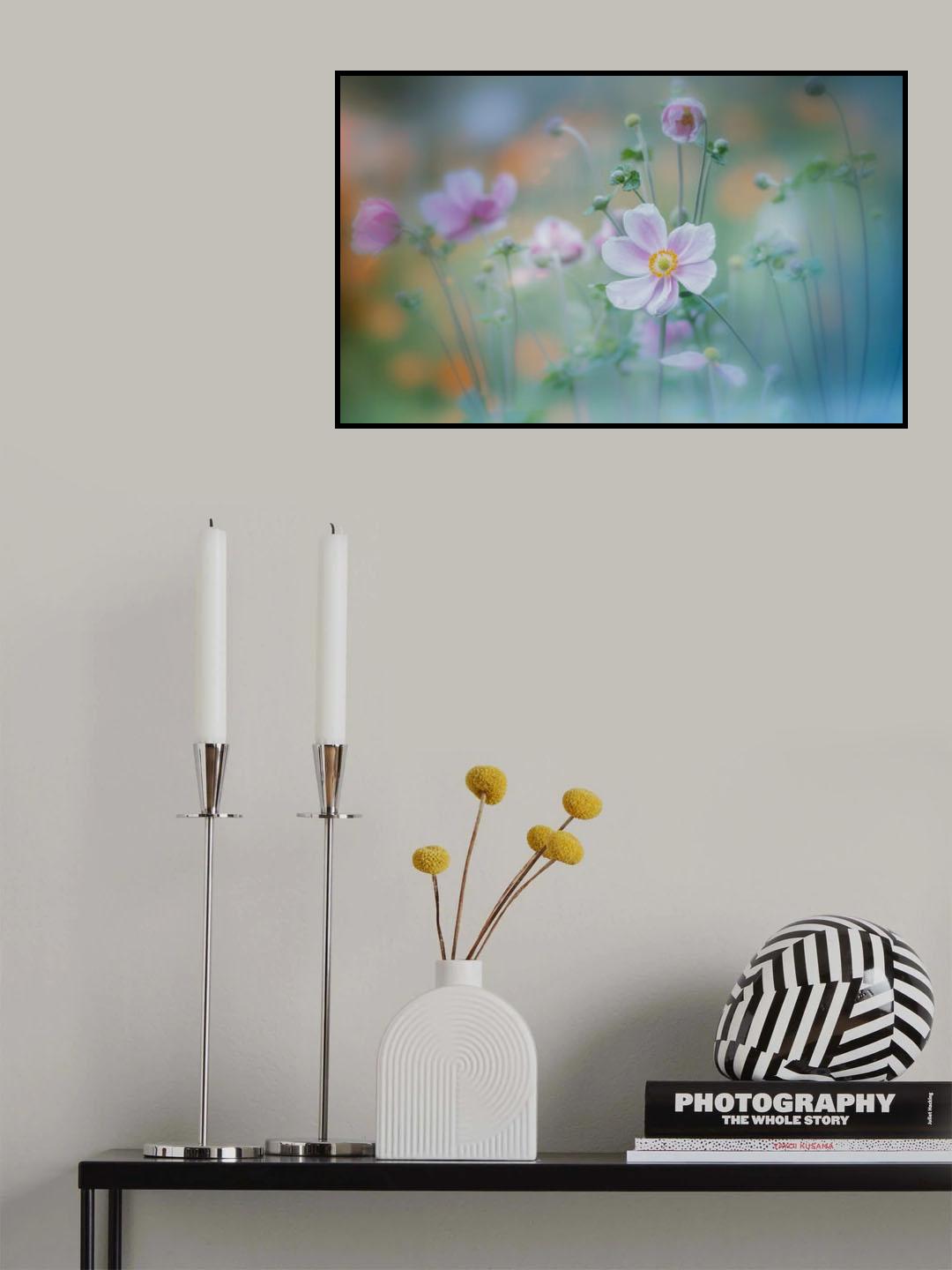 anemone Poster och Canvastavla