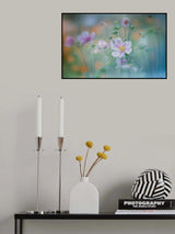 anemone Poster och Canvastavla