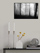 forest Poster och Canvastavla