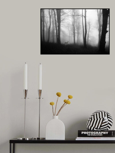 forest Poster och Canvastavla
