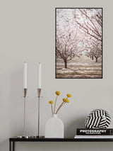 Almond Orchard Poster och Canvastavla