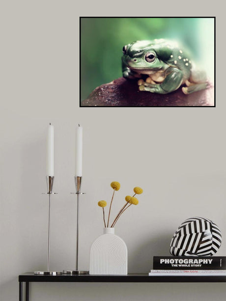 Froggy Poster och Canvastavla