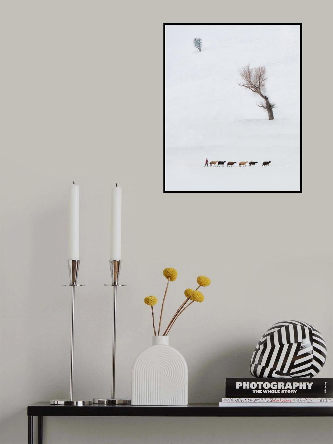 Little shepherd Poster och Canvastavla