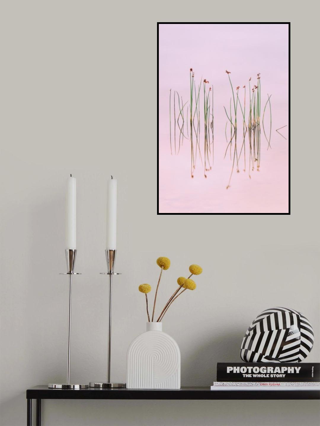 Reflection of Serenity Poster och Canvastavla