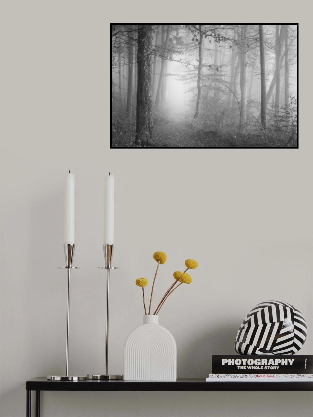 The silence of the woods Poster och Canvastavla