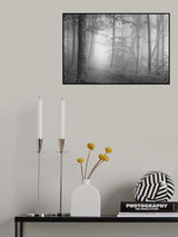 The silence of the woods Poster och Canvastavla