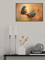 Jewel wasps Poster och Canvastavla
