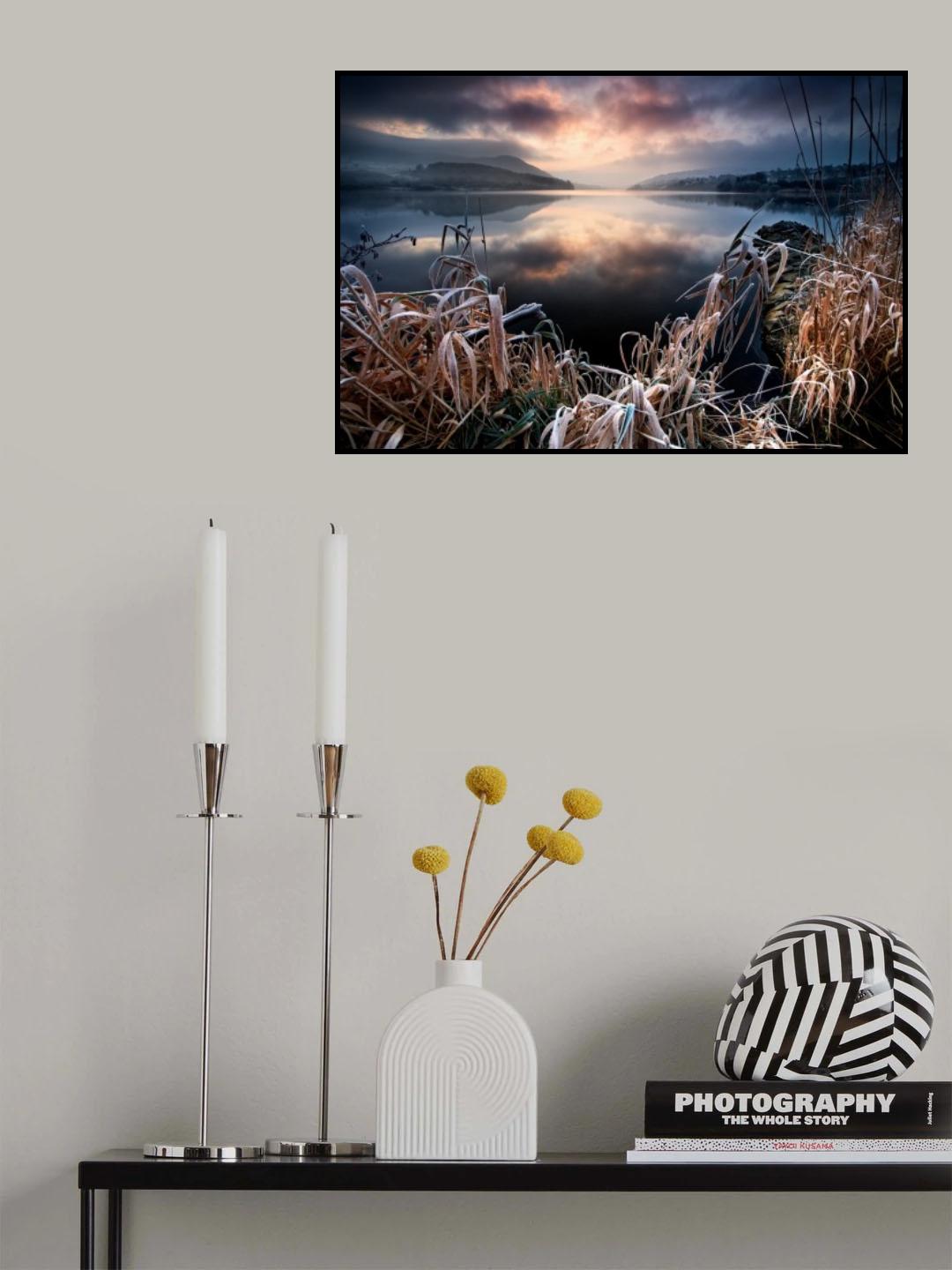 New Years Frost Poster och Canvastavla