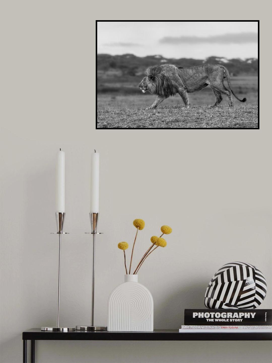 Old King Poster och Canvastavla
