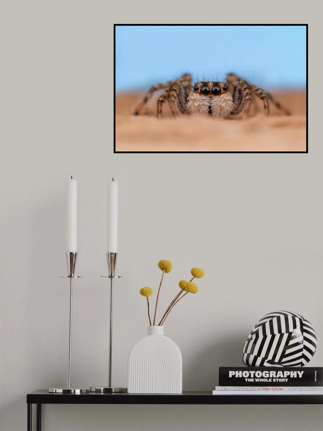 hiding Poster och Canvastavla