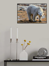 Bearing Down Poster och Canvastavla