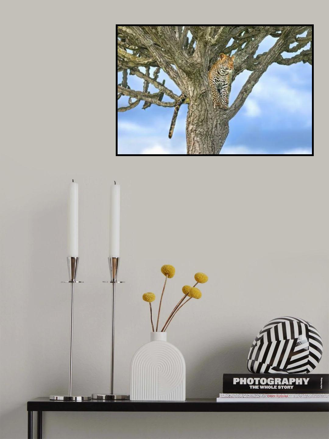 Looking for prey Poster och Canvastavla