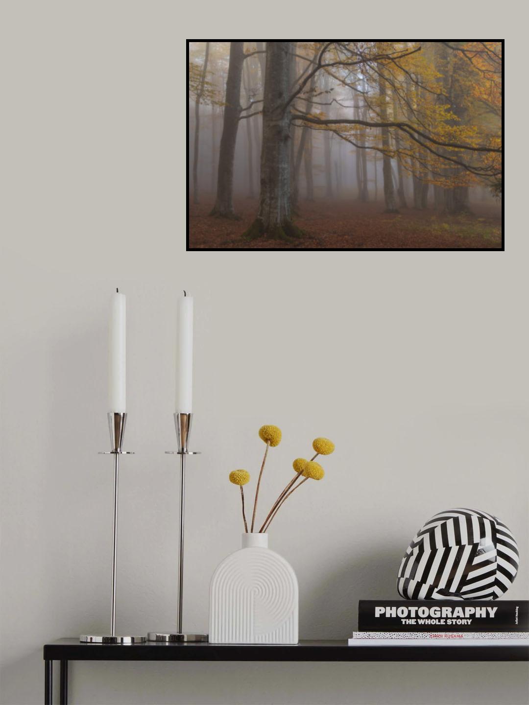 Foggy woodland Poster och Canvastavla