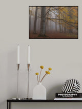 Foggy woodland Poster och Canvastavla
