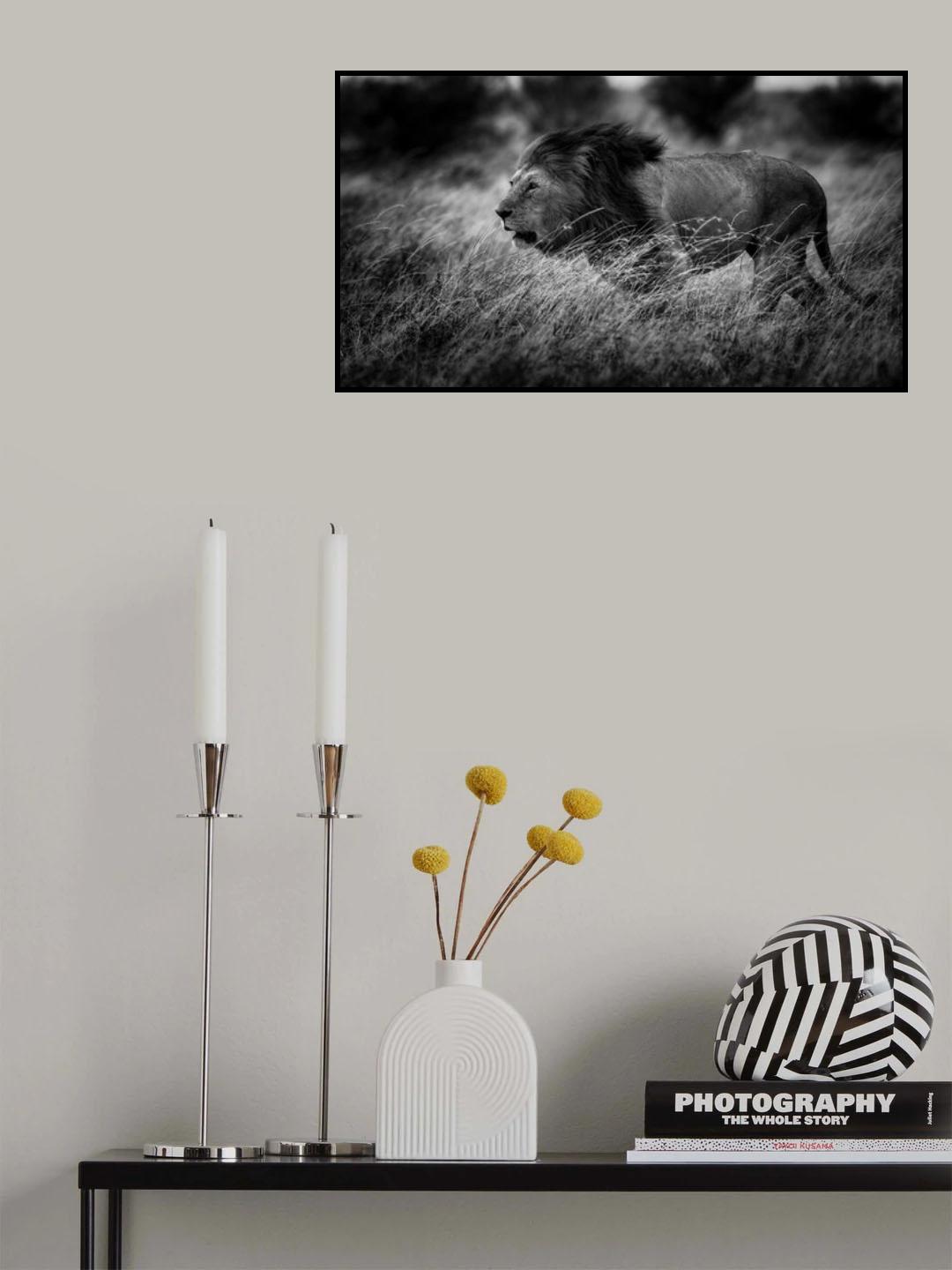 Interpid Poster och Canvastavla