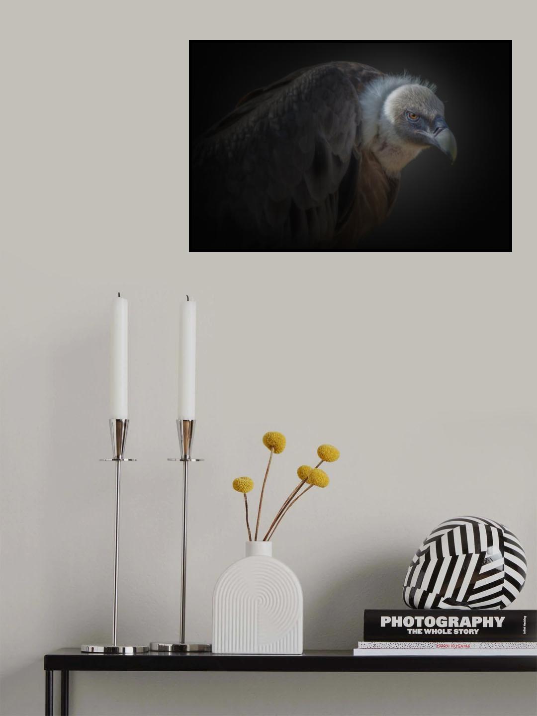 vulture Poster och Canvastavla