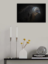 vulture Poster och Canvastavla